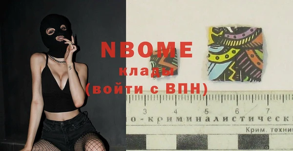индика Осинники